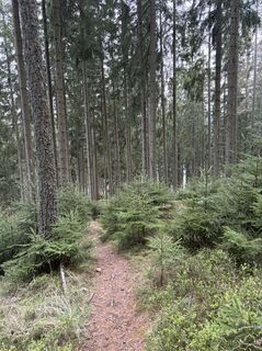 Fotografia z Mandy Friedrich na trase