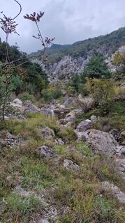 Photo de Stefano Calligaris 1 le long du parcours