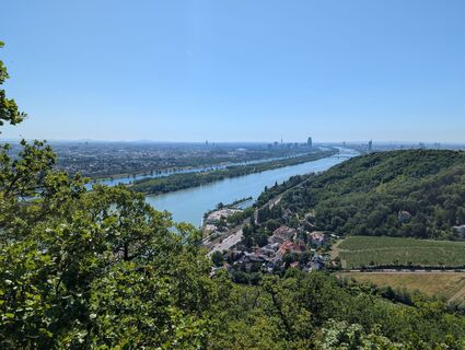 Fotografija s spletne strani HOJ_09 na poti