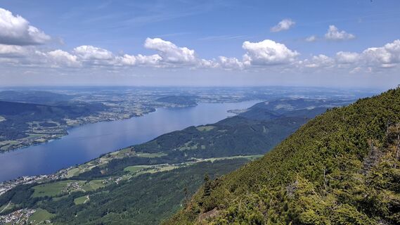 Foto von Roger Wilco entlang der Tour