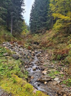 Foto von Tamara Schwarz 2 entlang der Tour