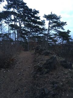 Фото с сайта Robert Kremlicka во время экскурсии