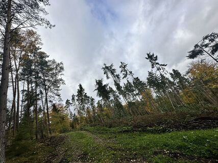 Zdjęcie z Sara B wzdłuż trasy