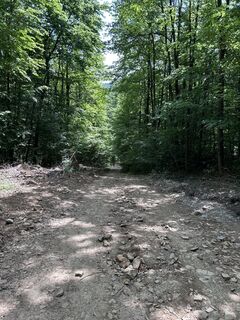 Fotografija s spletne strani Nikolai Markovic na poti