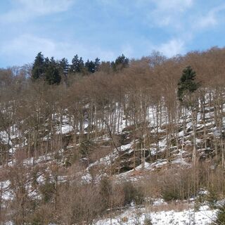 Naturschutzgebiet Grebensteine