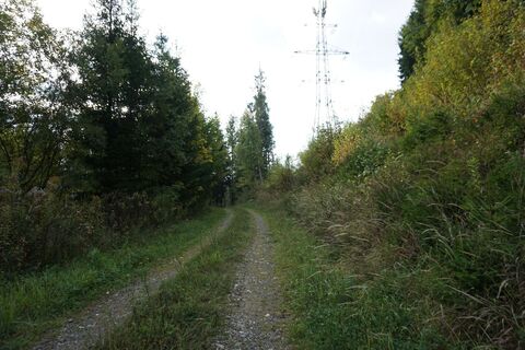 Beim Schotterweg linker Hand dem Forstweg folgen