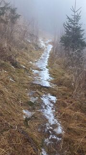 Photo de Gottfried Tiefengraber le long du parcours