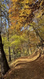 Fotografie z Kata na trase