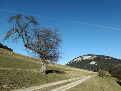 Foto von Bergpirat entlang der Tour