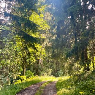 Duftkreuztrail Kleinkohlergraben