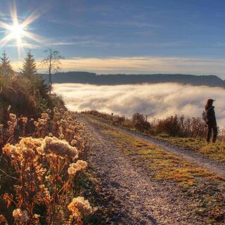 In der Winter-Nachmittagssonne (Nähe Schweizerkopf-Hütte)