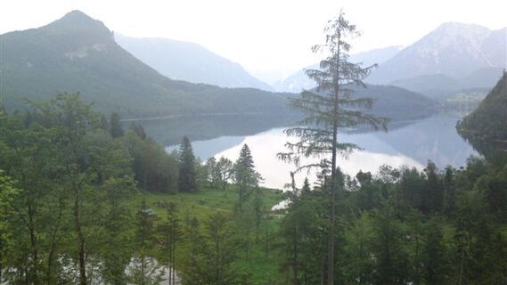 Blick von hinterm See 
