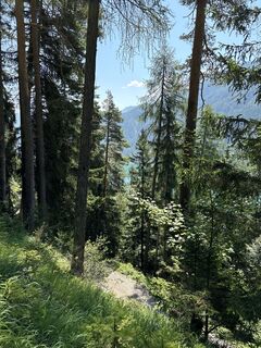 Foto von Heinz Sperl entlang der Tour