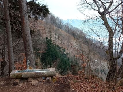 Photo de Lisa Pimminger 1 le long du parcours