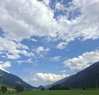 Foto von Mangolein entlang der Tour