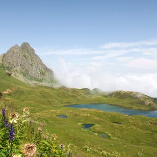 Tilisunasee