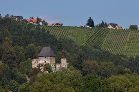 Blick auf die Burgruine Ligist