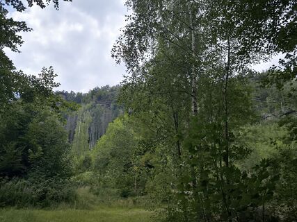 Photo de Daniel S le long du parcours