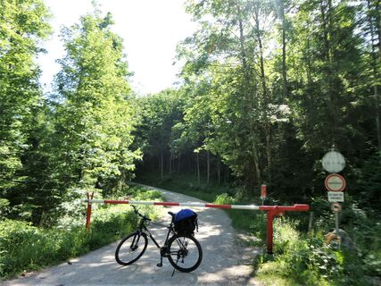 Forstweg (Mountainbike erlaubt)