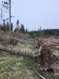 Foto fra Reinhard Pomper undervejs på turen