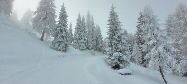 Fotografia z Nicky na trase