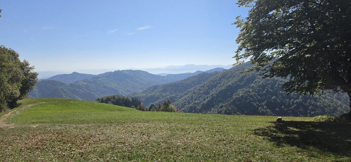 Foto de Srečko Lašič a lo largo del recorrido