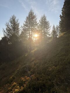 Foto von Markus Sumper entlang der Tour