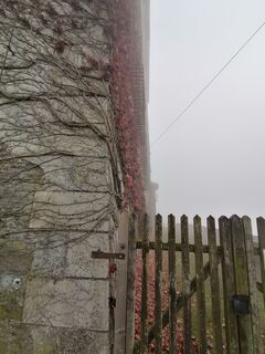 Foto von Wanderfux entlang der Tour