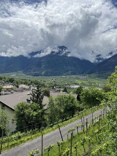 Foto von Peter Schäfer entlang der Tour