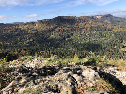 Bewaldete Hügel am Albtrauf