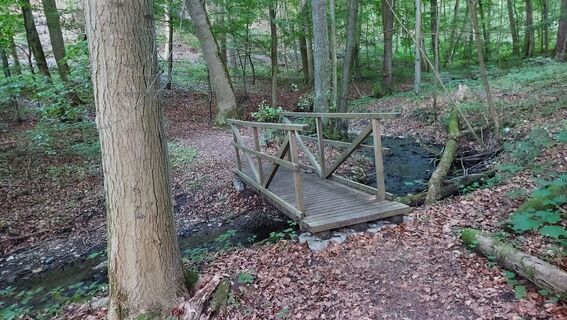Zdjęcie z Wollomator wzdłuż trasy