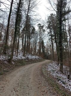 Photo de Herr Dachs le long du parcours