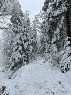 Fotografia z Cyrill Bischof na trase