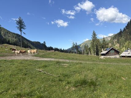 Foto von Moritz⛰️ entlang der Tour