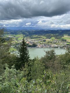 Photo de Ster le long du parcours