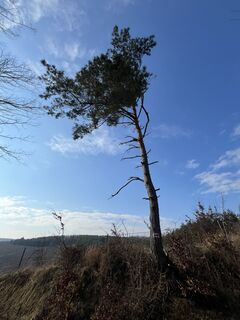 Fotografia z Tuti Dugovics na trase
