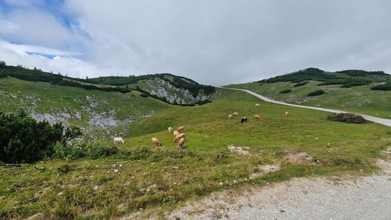 Foto von EP87 entlang der Tour