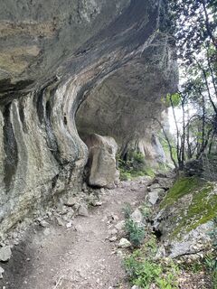 Photo de Amiks le long du parcours