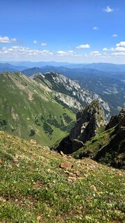 Photo de Veronika Strauss le long du parcours