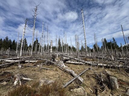 Photo de Ronald Bartel le long du parcours