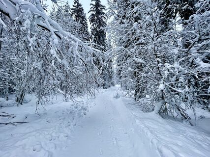 Foto von Les aventures de Ghislain entlang der Tour