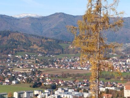 Foto fra Stephane Cappellaro undervejs på turen