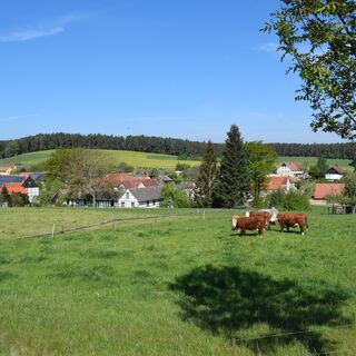 Карта