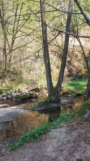 Fotografija s spletne strani Enkidu55 na poti