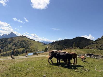 Foto von Walter Illmayer entlang der Tour