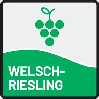 Icon Welschriesling