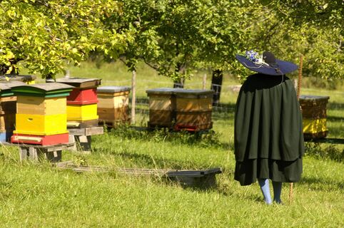 Bienenmuseum Kirschentheuer