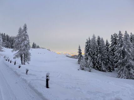 Foto van Roger Baeggli langs de tour