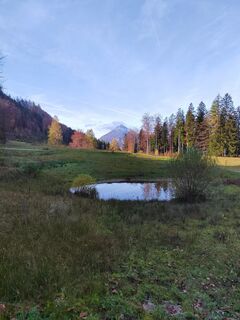 Fotografija s spletne strani ReginaSt na poti