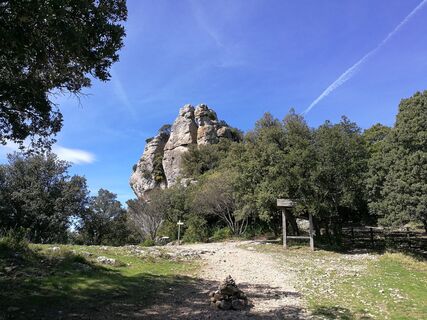 oenorando st saturnin 12 @ Gilles Delerue